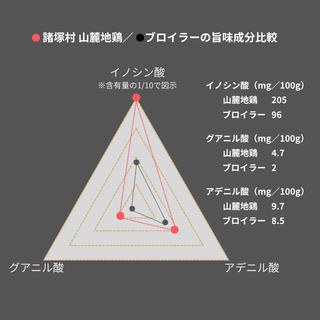 諸塚村山麓地鶏とブロイラーの旨味成分(イノシン酸・グアニル酸・アデニル酸)比較